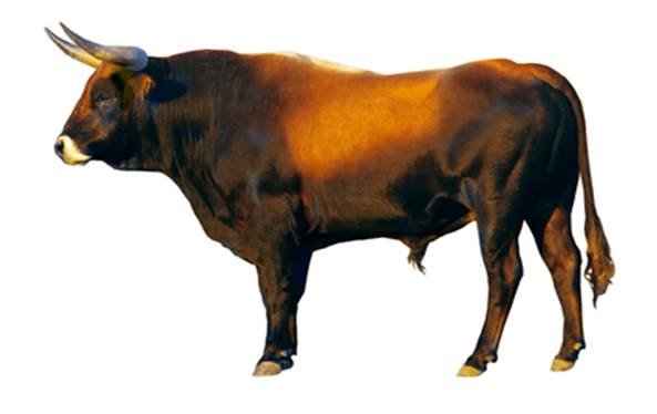 image020.jpg